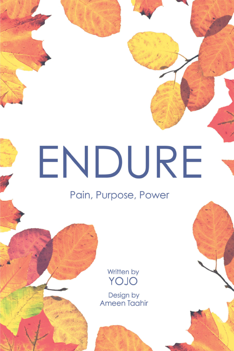 Cover image for book Endure