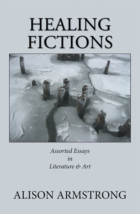 Cover image for book Healing Fictions