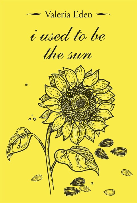 Cover image for book I Used to Be the Sun