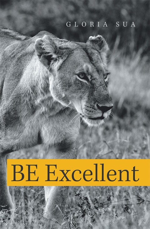 Cover image for book Be Excellent