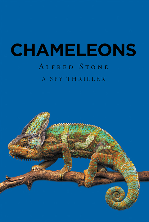 Cover image for book Chameleons