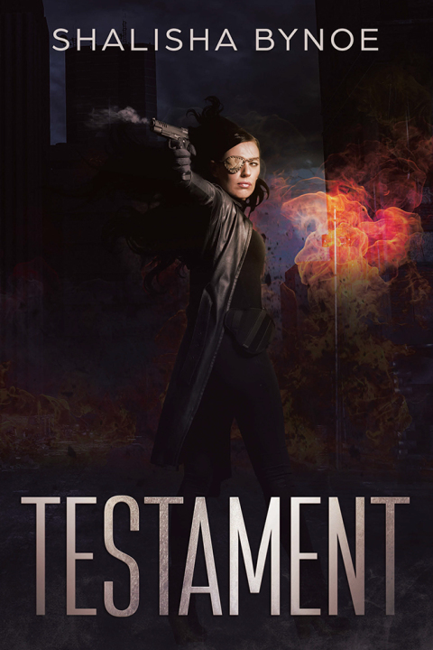 Cover image for book Testament