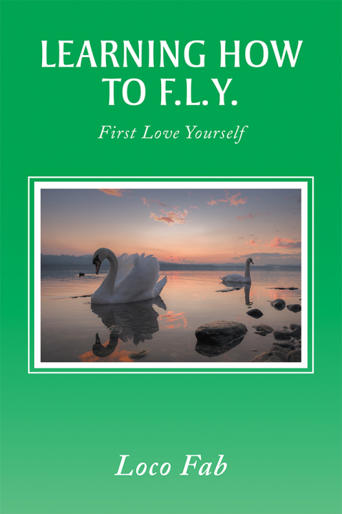 Cover image for book Learning How to F.L.Y.