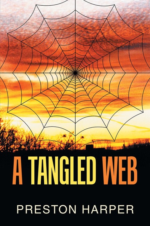 Cover image for book A Tangled Web