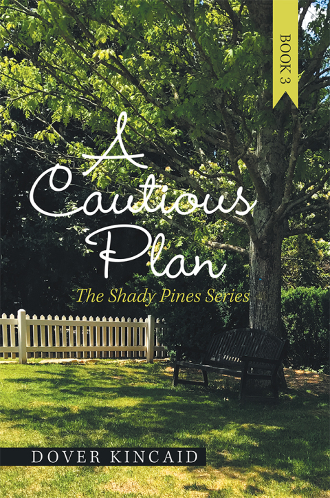 Cover image for book A Cautious Plan