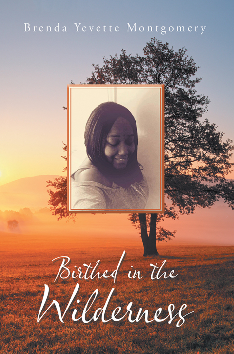 Cover image for book Birthed in the Wilderness
