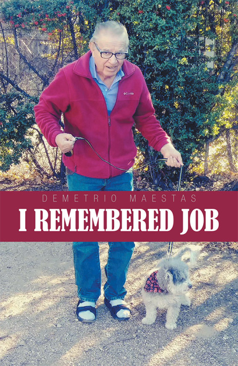 Cover image for book I Remembered Job