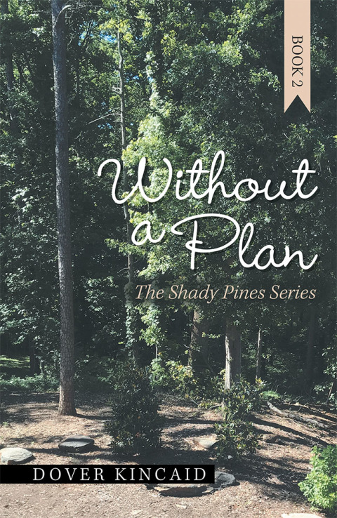 Cover image for book Without a Plan