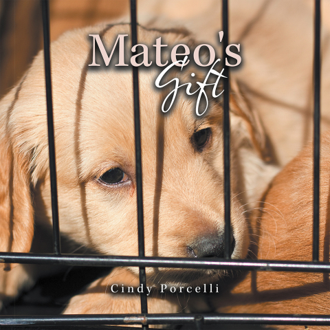 Cover image for book Mateo's Gift