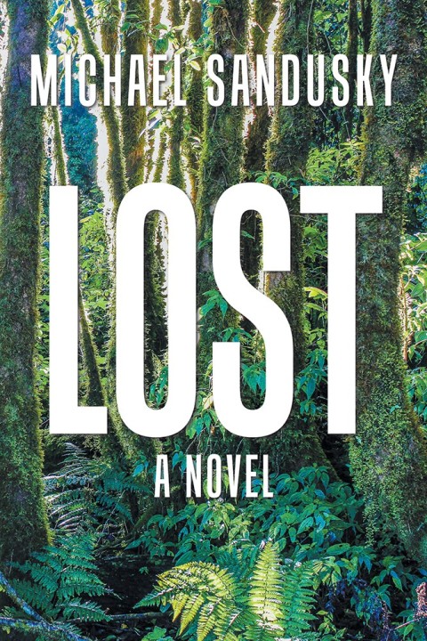 Cover image for book Lost