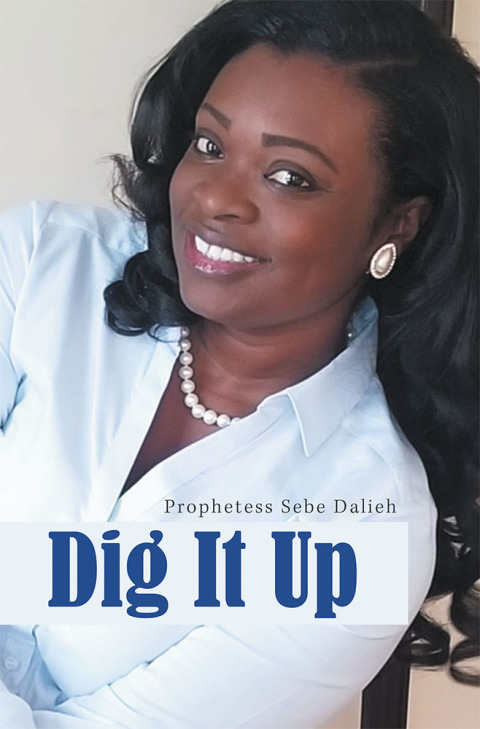 Cover image for book Dig It Up
