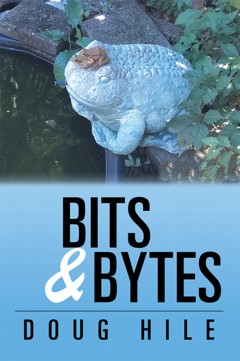 Cover image for book Bits & Bytes