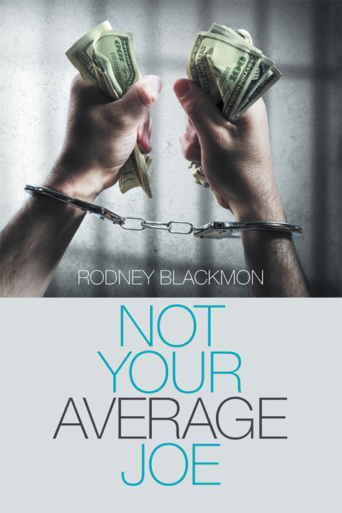 Cover image for book Not Your Average Joe