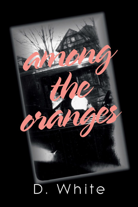 Cover image for book Among the Oranges