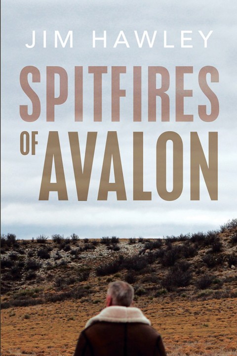 Cover image for book Spitfires of Avalon