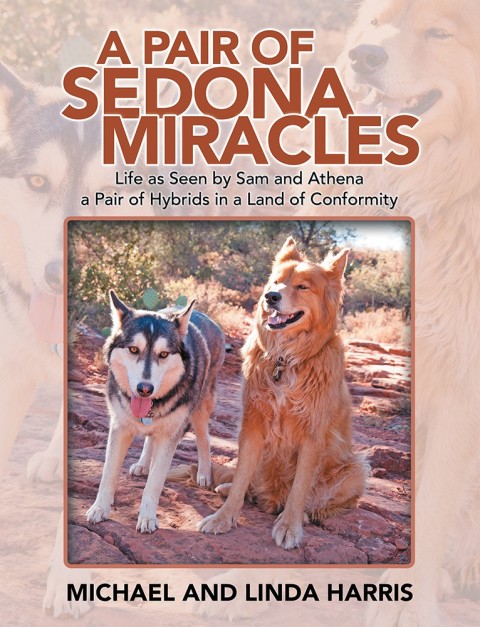 Cover image for book A Pair of Sedona Miracles