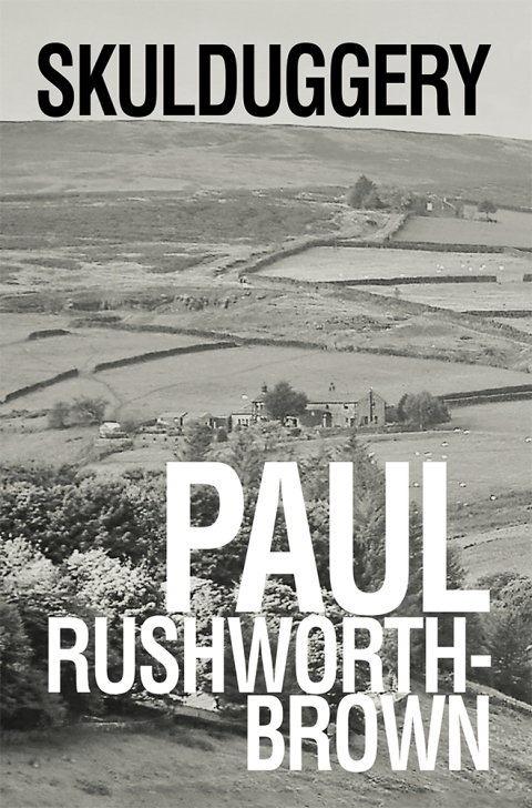 Cover image for book Skulduggery