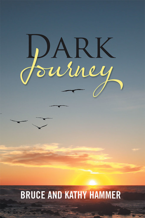 Cover image for book Dark Journey