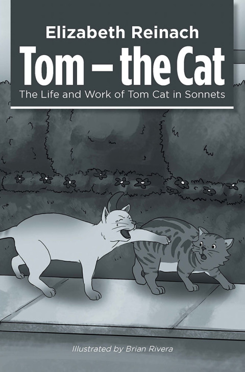 Cover image for book Tom – the Cat