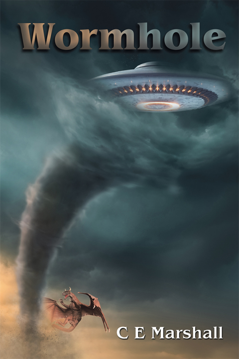 Cover image for book Wormhole