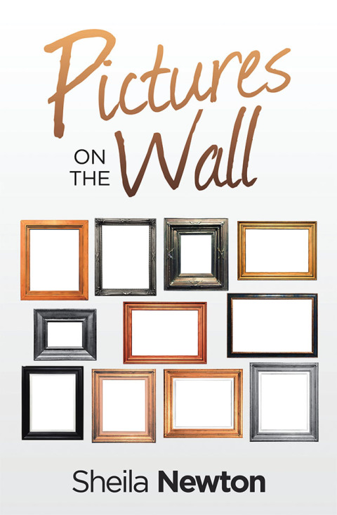 Cover image for book Pictures on the Wall