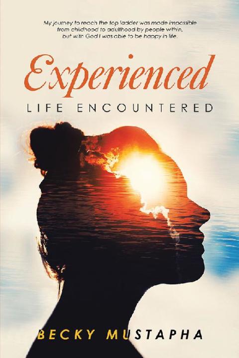 Cover image for book Experienced