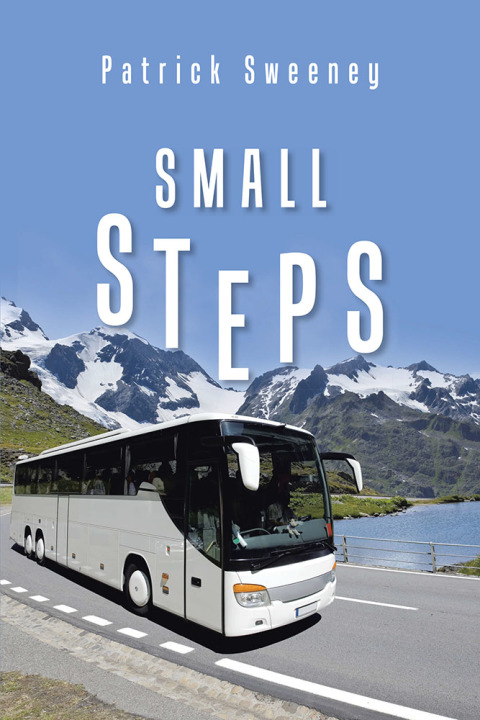Cover image for book Small Steps