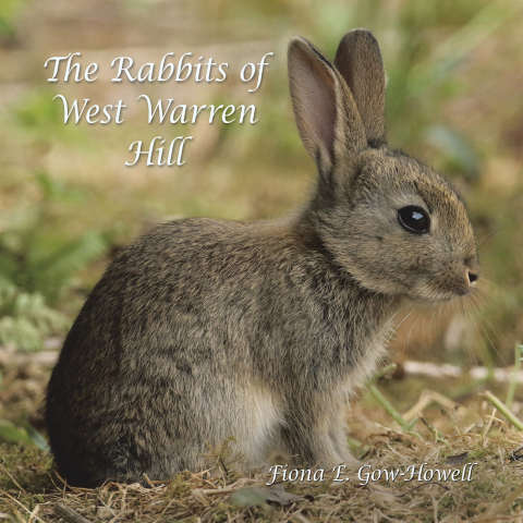 Cover image for book The Rabbits of West Warren Hill