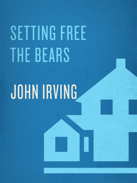 Cover image for book Setting Free the Bears