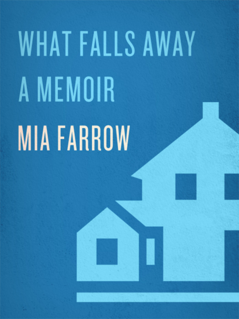 Cover image for book What Falls Away
