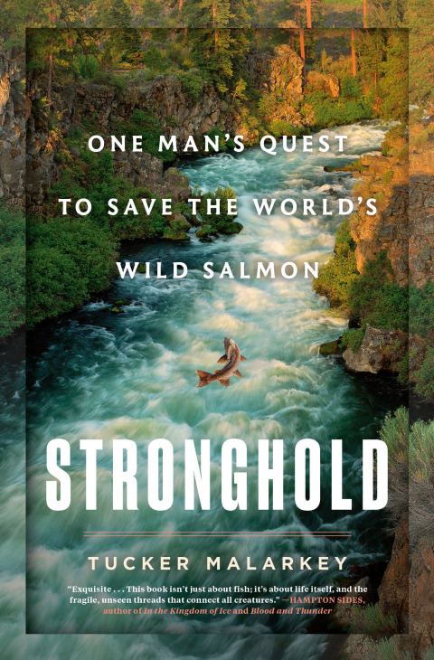 Cover image for book Stronghold