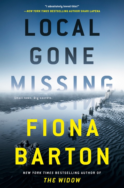 Cover image for book Local Gone Missing