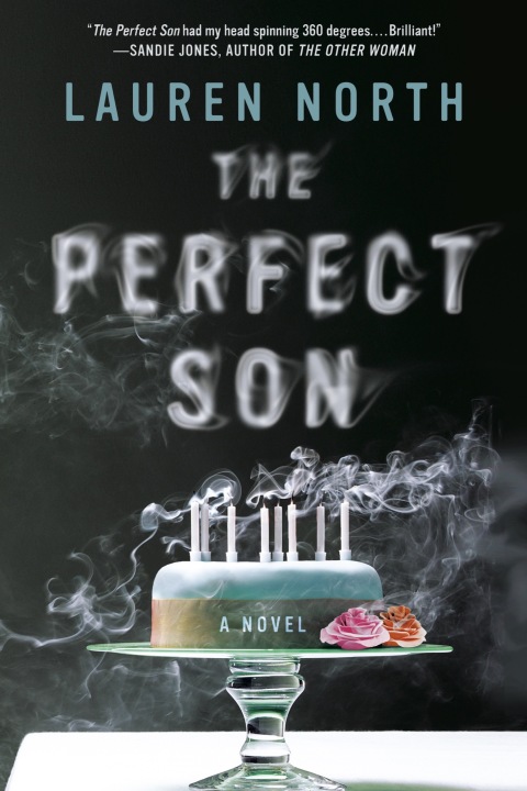 Cover image for book The Perfect Son