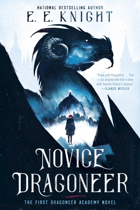 Cover image for book Novice Dragoneer