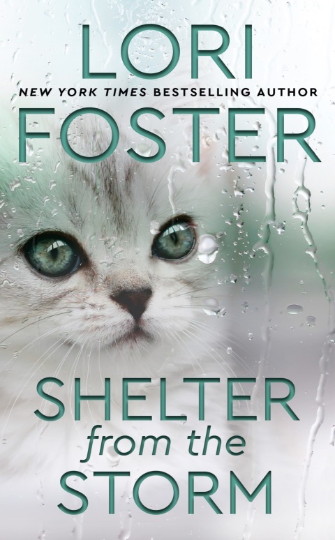Cover image for book Shelter from the Storm