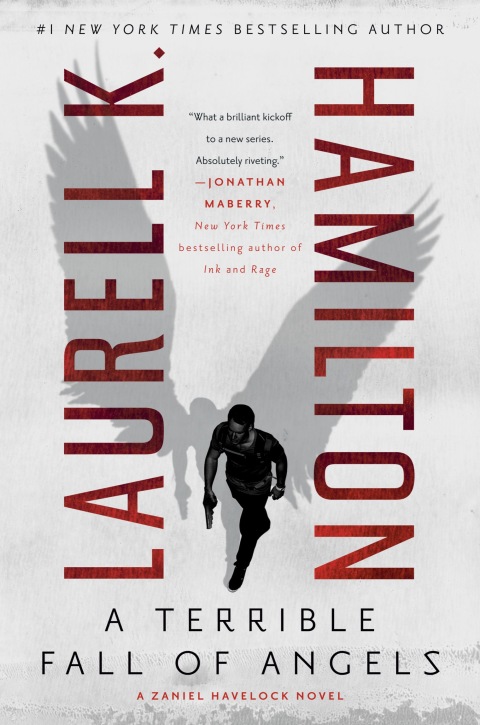 Cover image for book A Terrible Fall of Angels