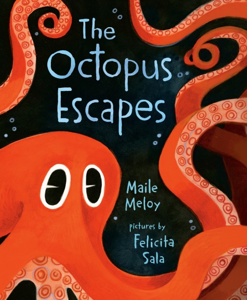 Cover image for book The Octopus Escapes