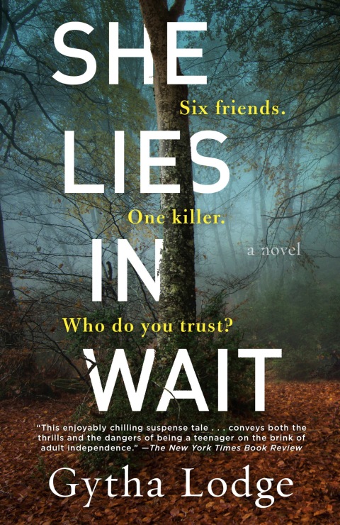 Cover image for book She Lies in Wait