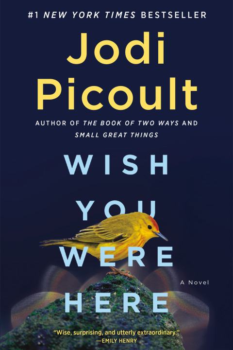 Cover image for book Wish You Were Here