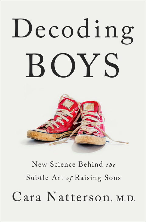 Cover image for book Decoding Boys