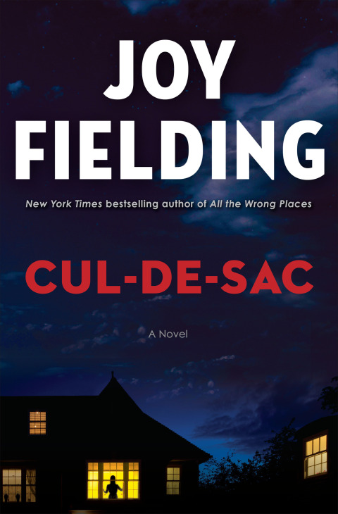 Cover image for book Cul-de-sac