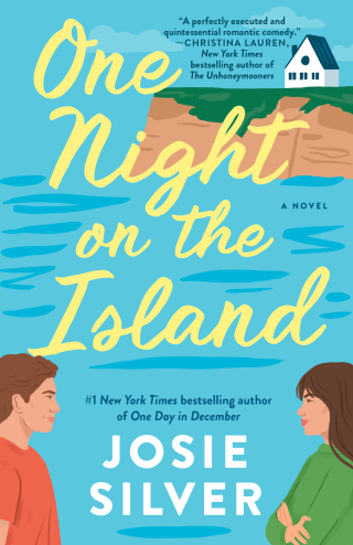 One Night on the Island