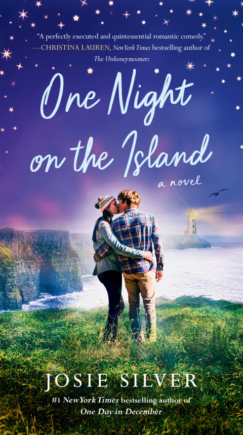 Cover image for book One Night on the Island