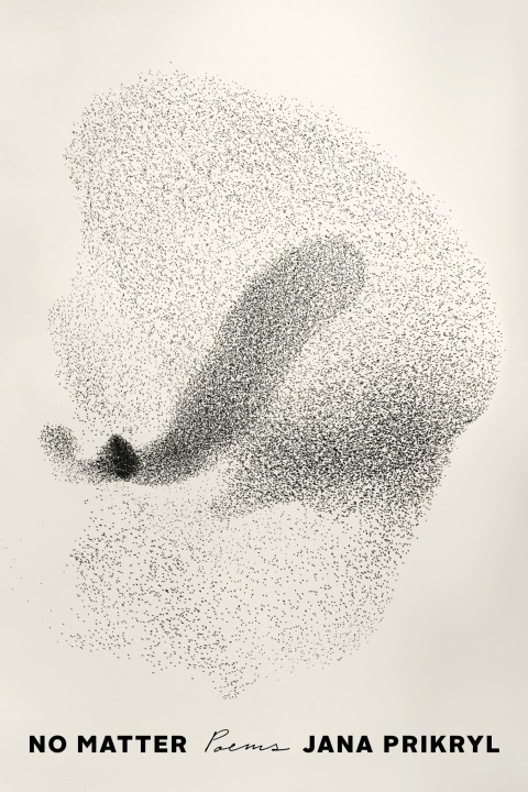 Cover image for book No Matter
