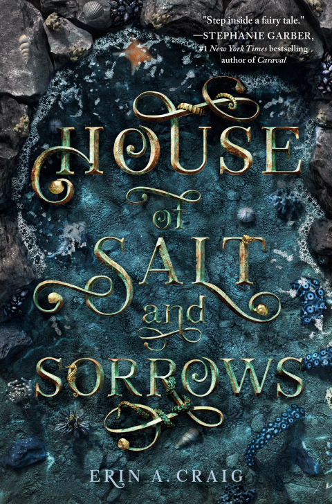 Cover image for book House of Salt and Sorrows