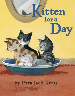 Kitten for a Day
