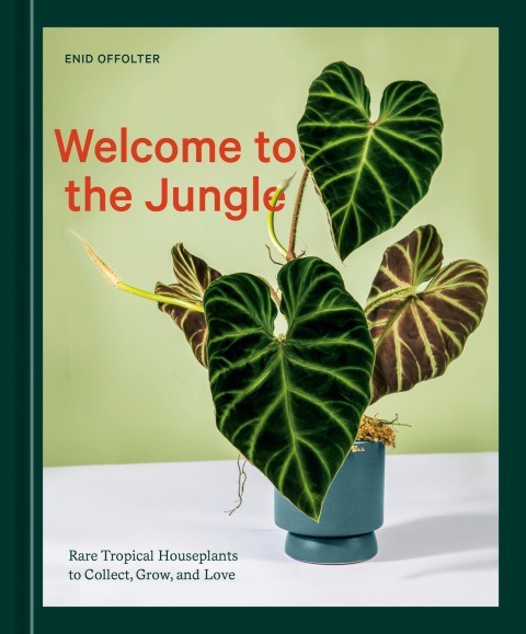 Cover image for book Welcome to the Jungle