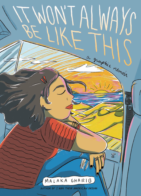 Cover image for book It Won't Always Be Like This