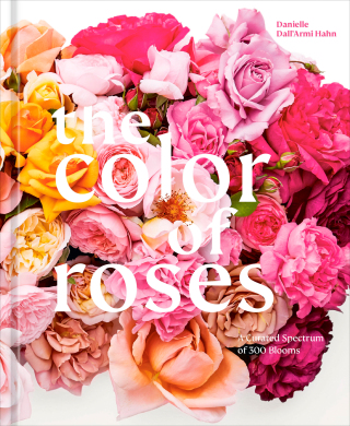 The Color of Roses