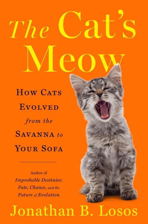 Cover image for book The Cat's Meow